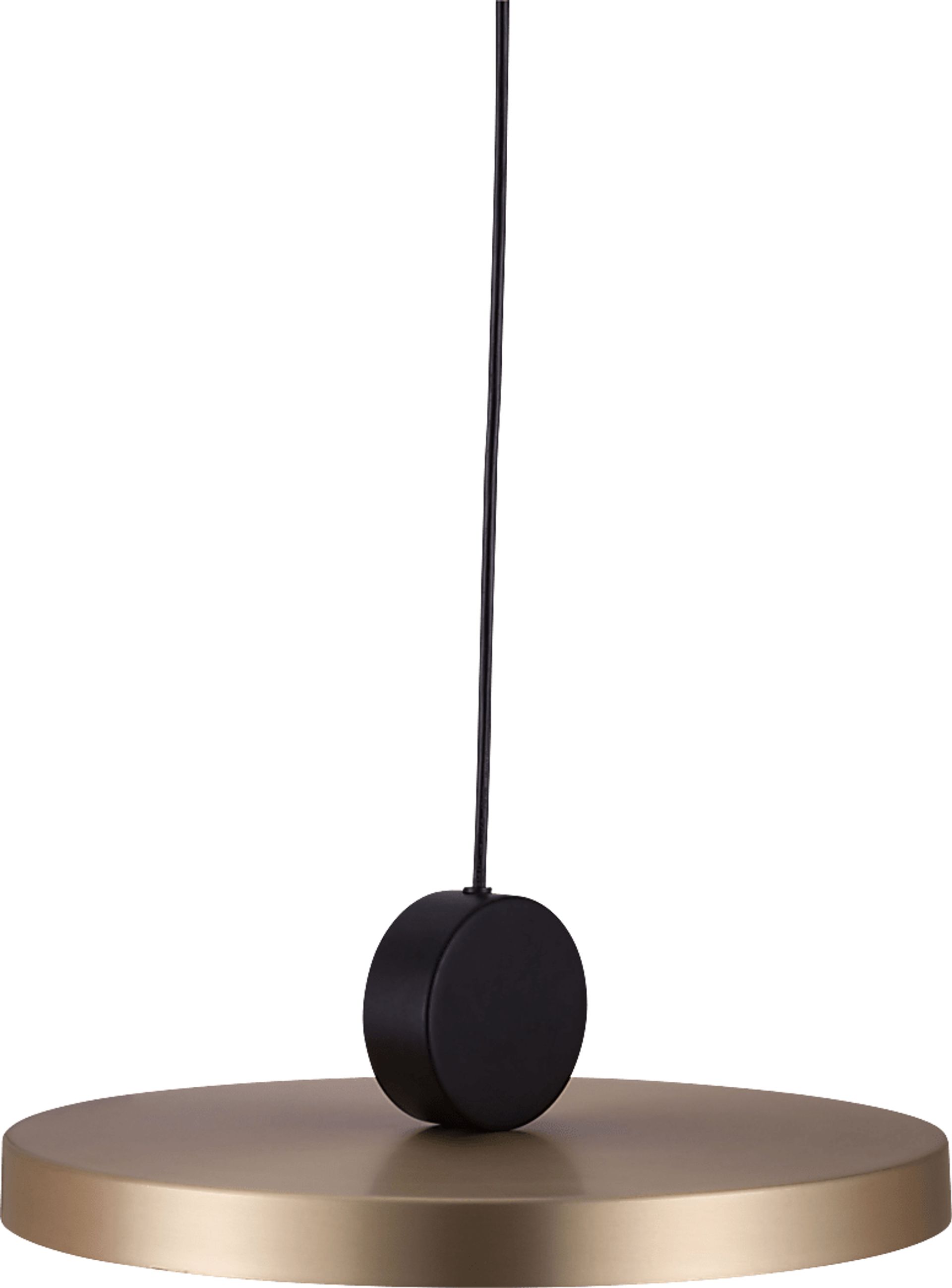 Intrepid Island Gold Chandelier - Image 4