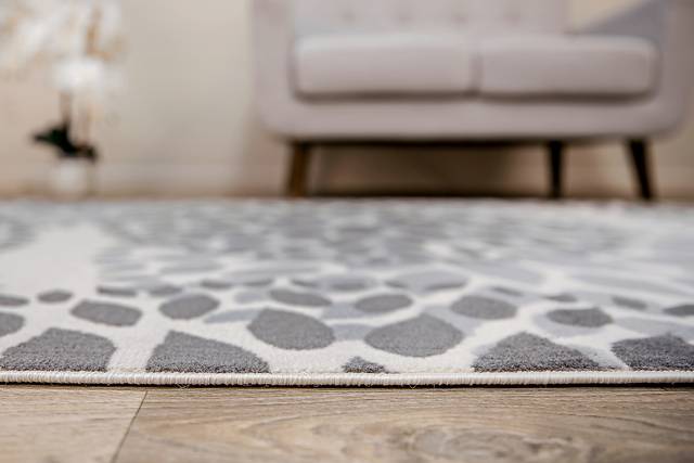 Iselana II Gray 5' x 7' Rug - Thumbnail - Image 7