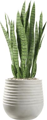 Islara 42 in. UV Artificial Sansevieria in White Planter