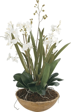 Islewood White Faux Orchid