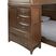 Ivy League 2.0 Walnut Twin Step Loft with Chest and Desk Attachment