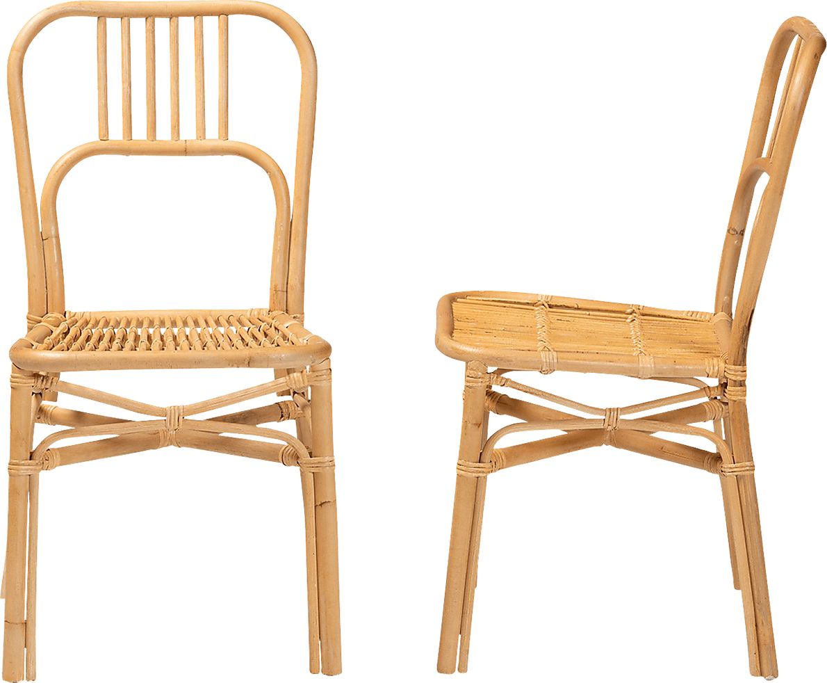 Ivyan Brown Side Chair Set of 2