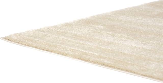 Iyleen Off-White 5'3 x 7'3 Rug - Thumbnail - Image 5