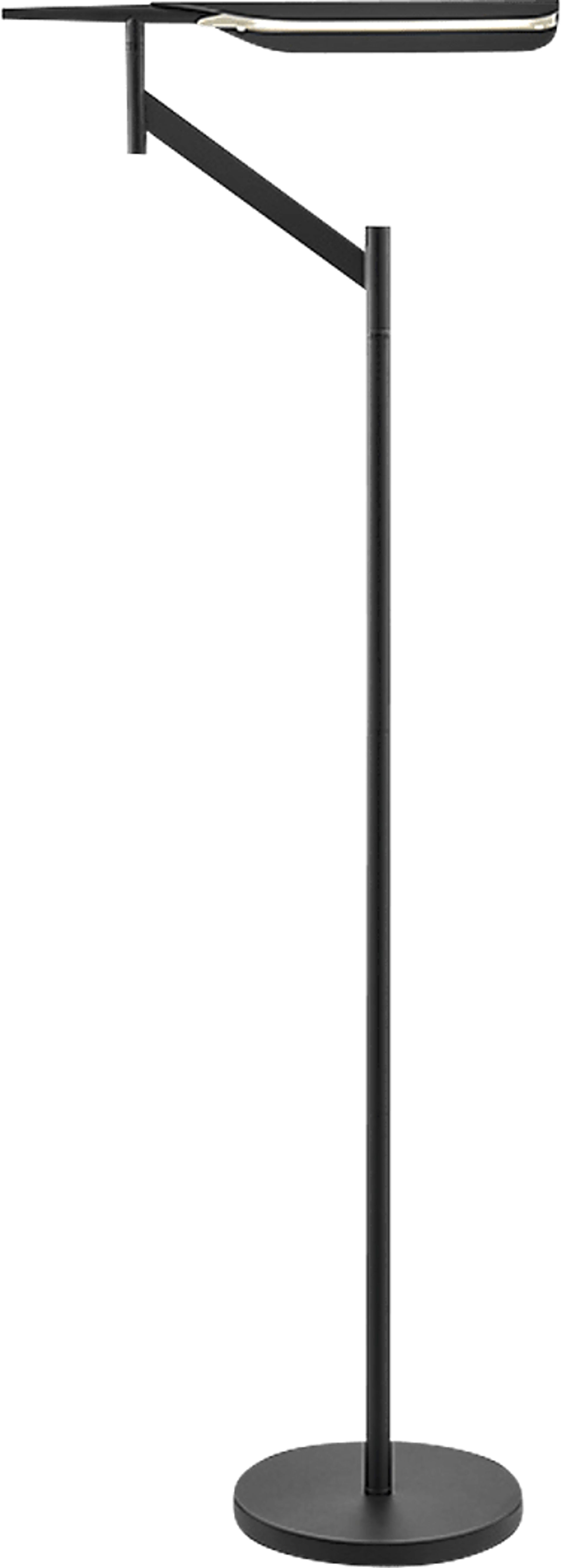 Izara Grove Black Floor Lamp - Image 1