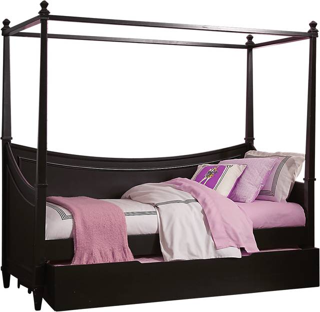 Jaclyn Place Black 2 Pc Canopy Daybed - Thumbnail - Image 2