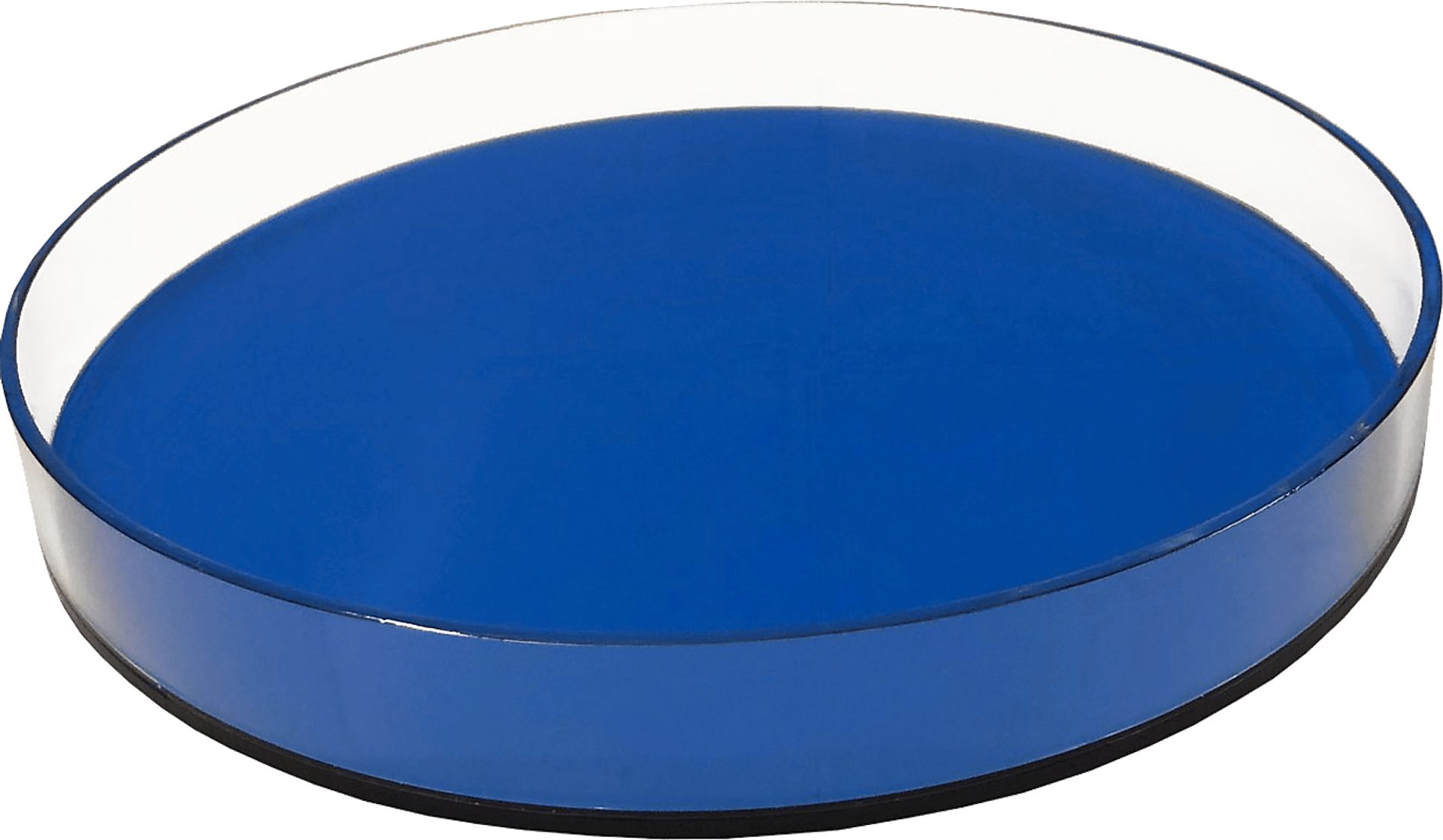 Jadelane I Neon Blue Tray - Image 1