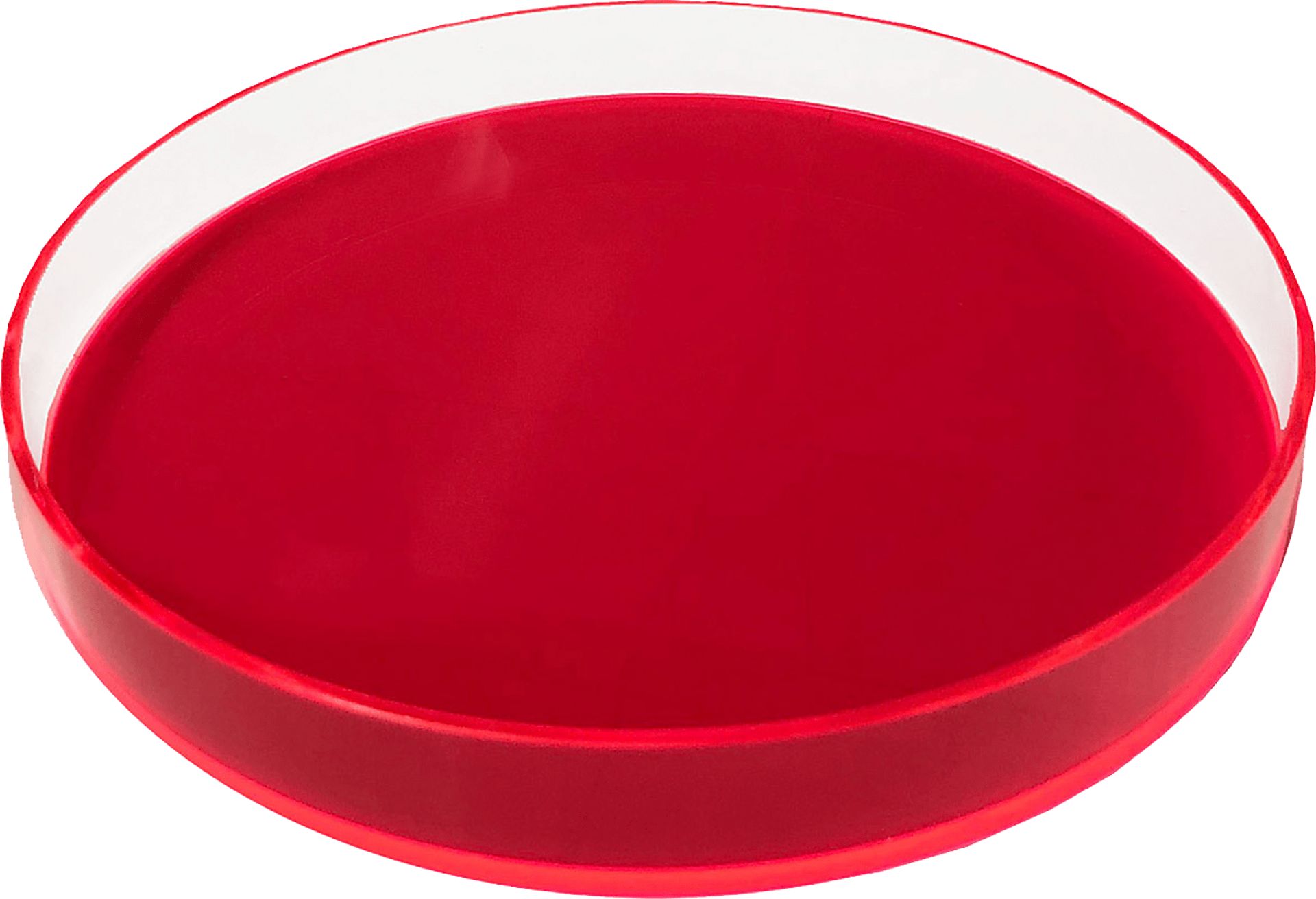 Jadelane I Neon Pink Tray - Image 1