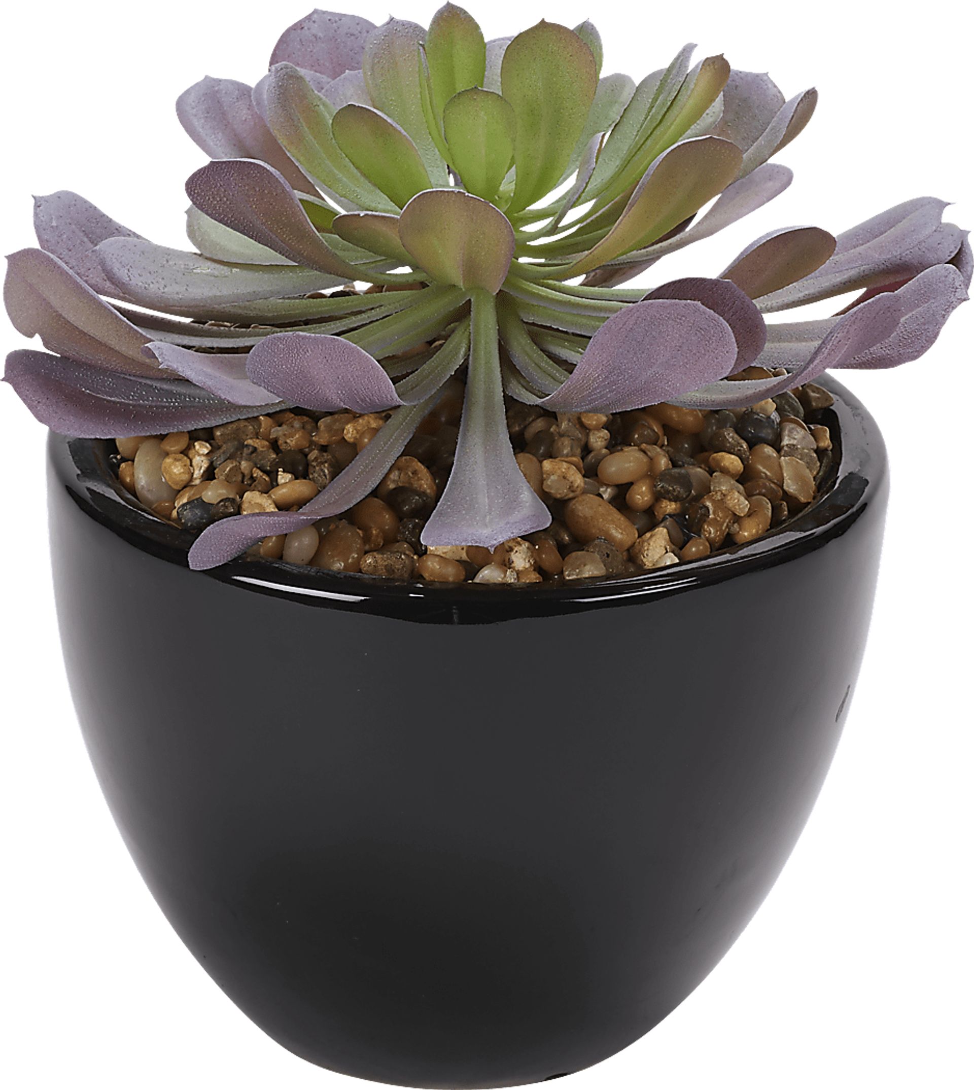 Jamal Green Echeveria Silk Plant - Image 1