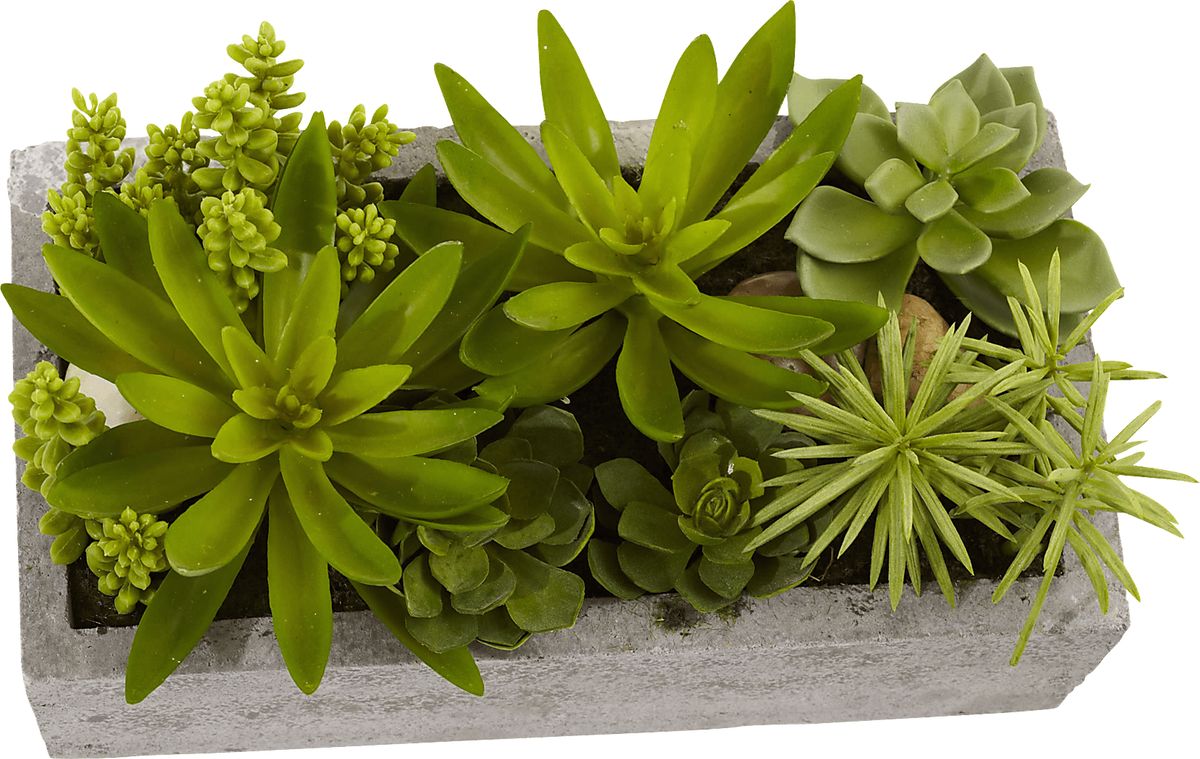 botanical garden seeds The Container Collection Seed Bundle main image 0