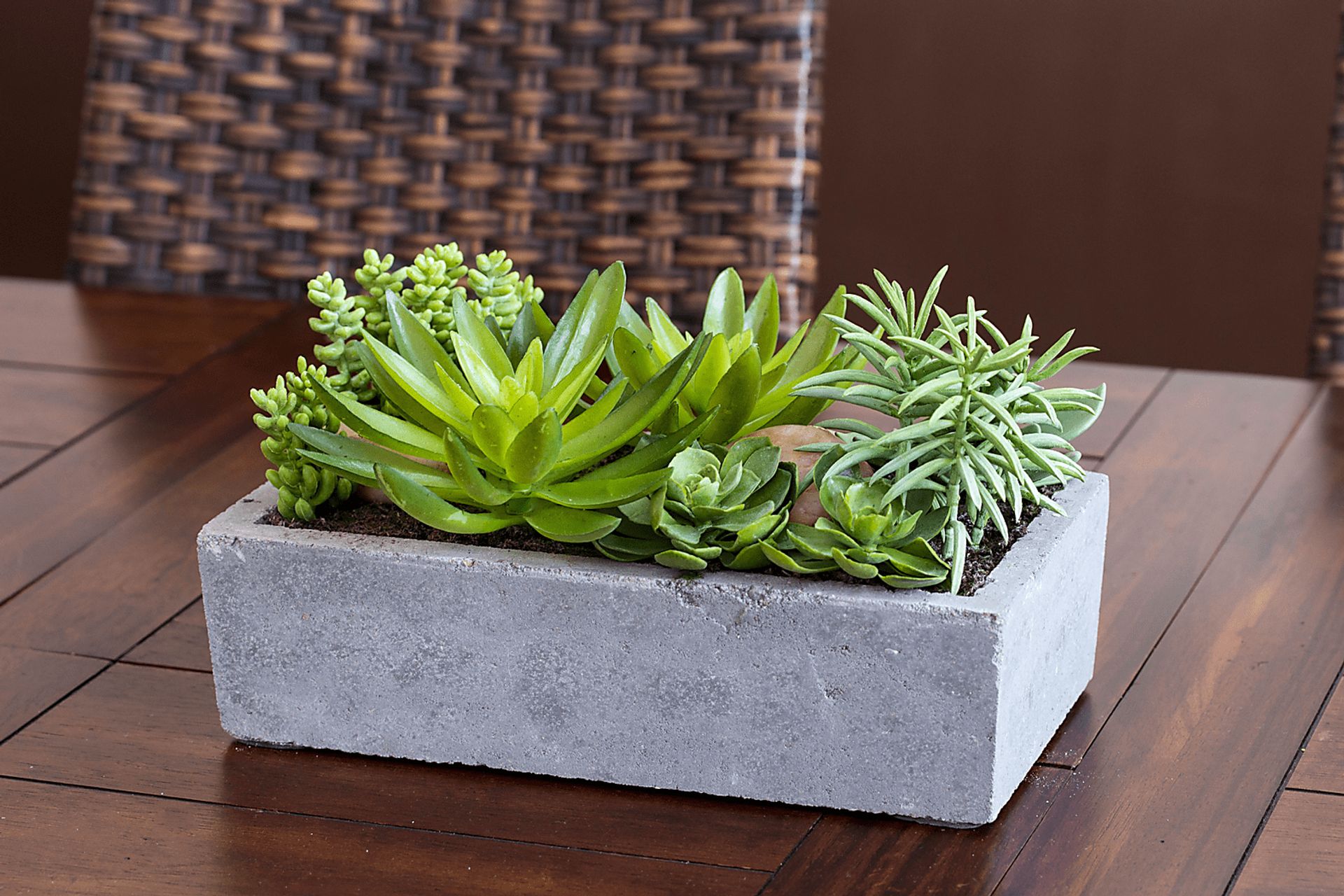Janey Green Succulent Silk Plant - Image 4