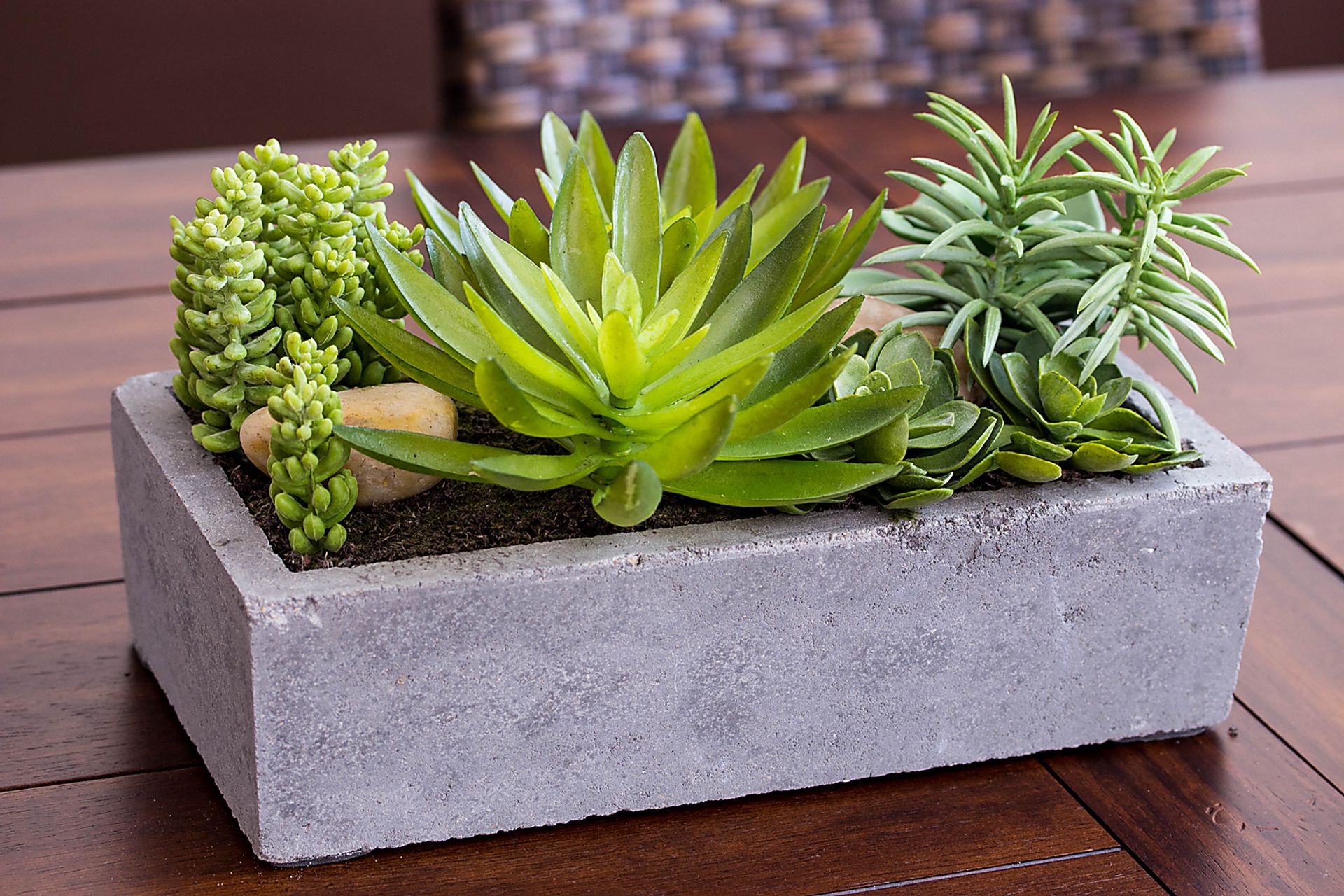 Janey Green Succulent Silk Plant - Image 5