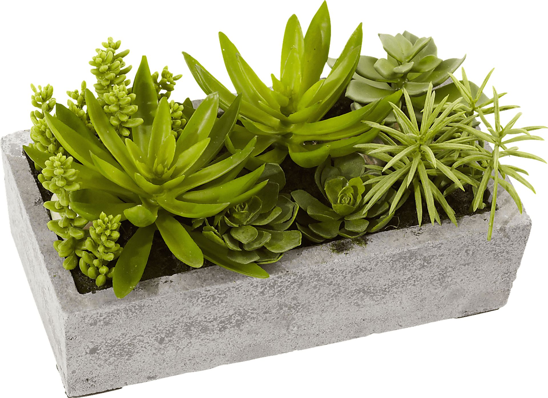 Janey Green Succulent Silk Plant - Image 1