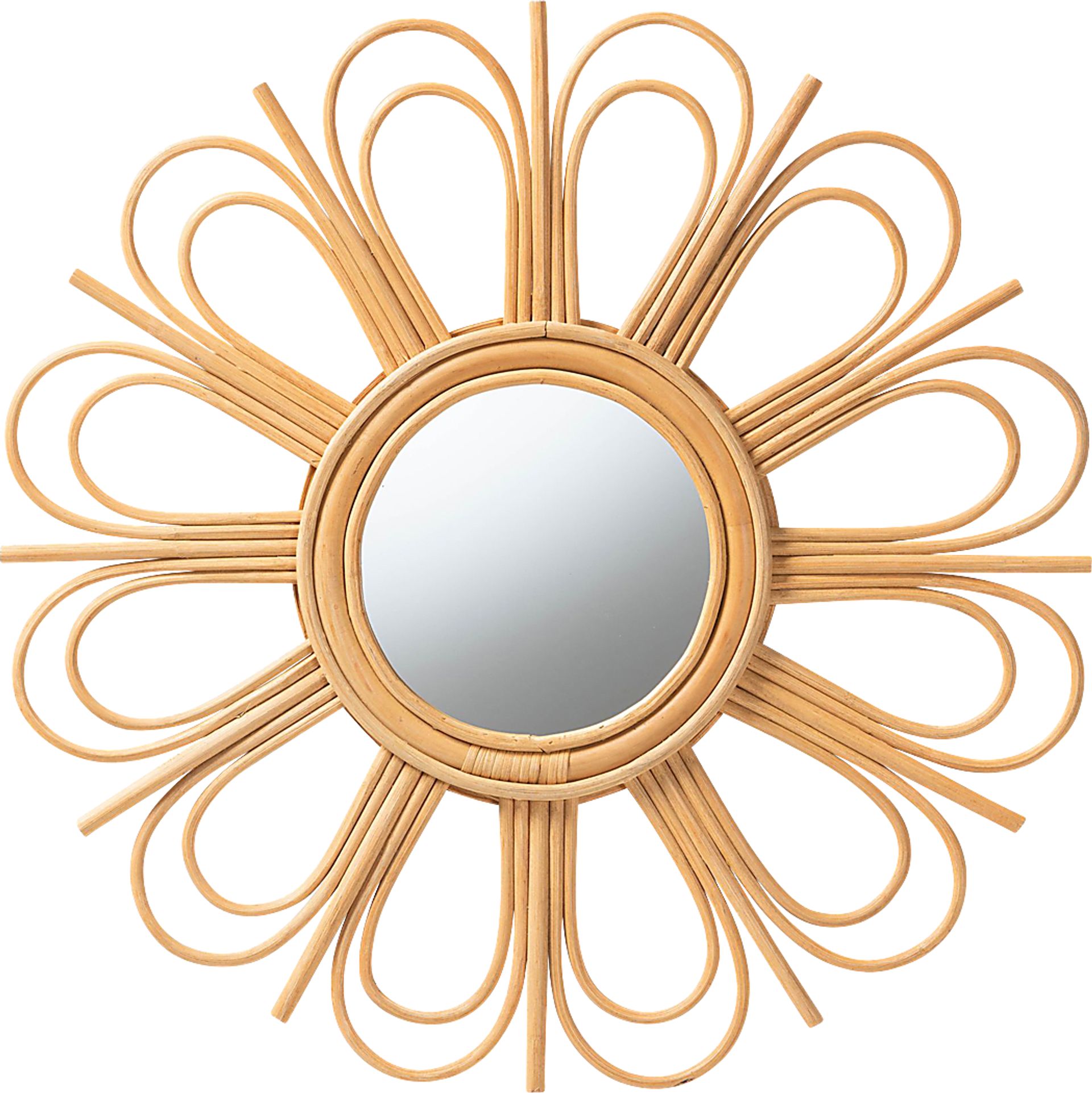 Janila Brown Accent Mirror - Image 1