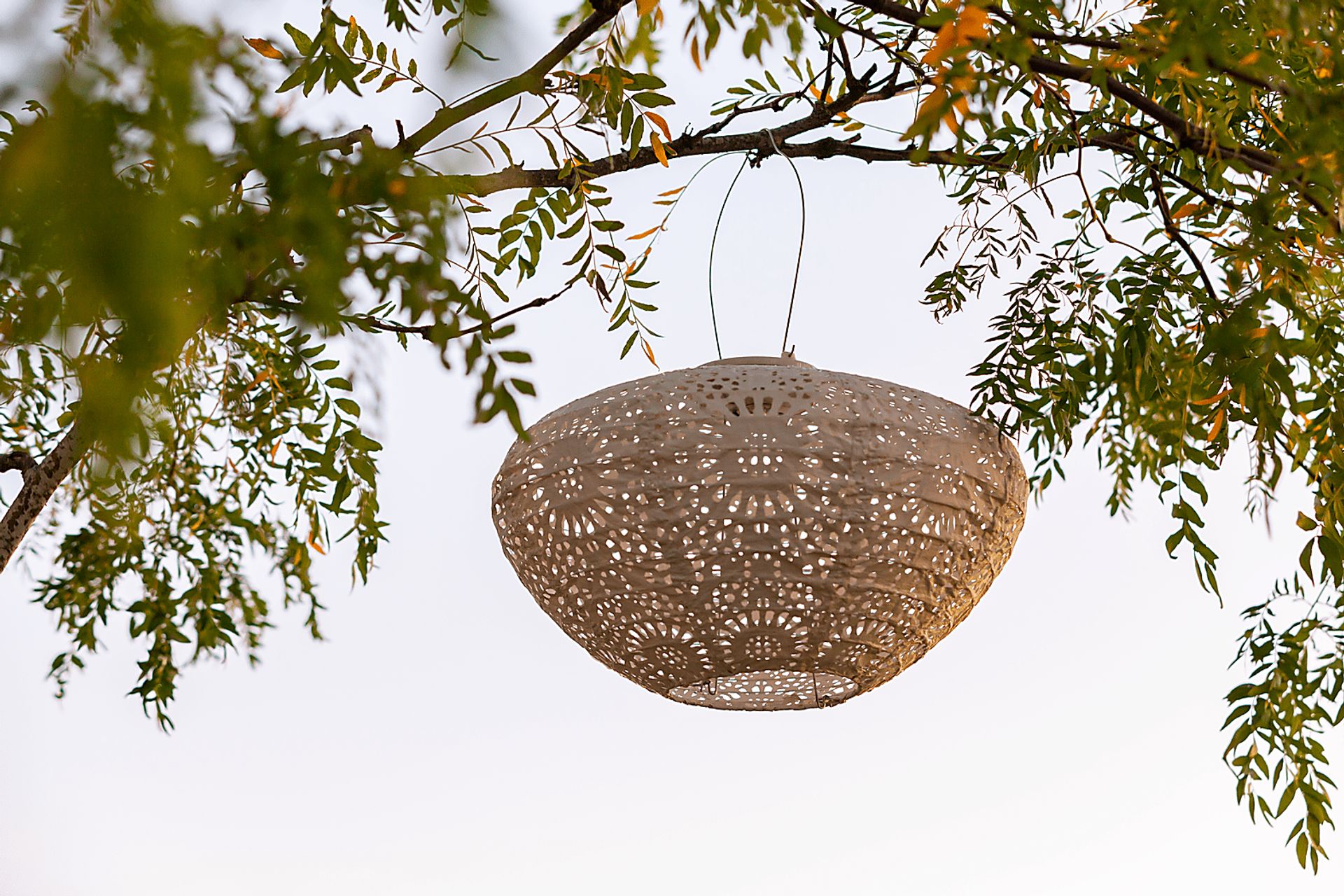 Jayla Reef Outdoor White Solar Lantern - Image 5