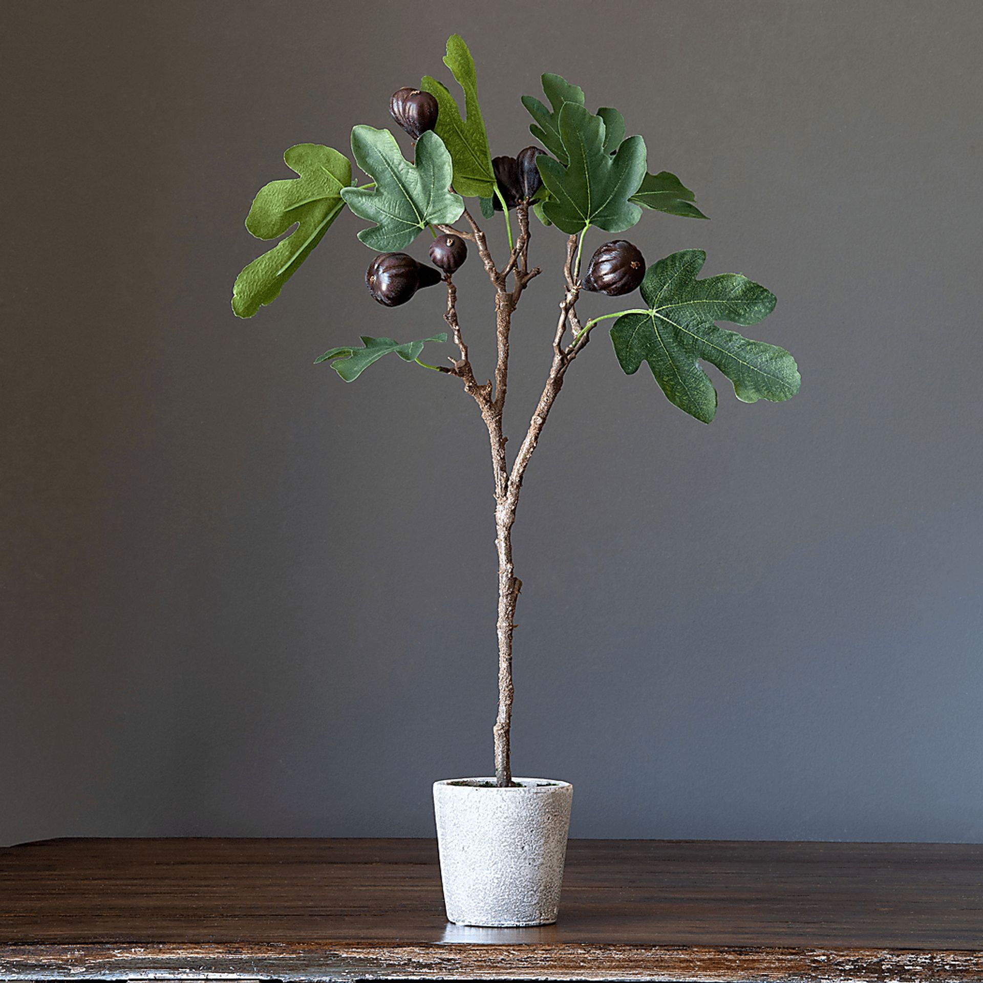 Jayleen Green Topiary - Image 2