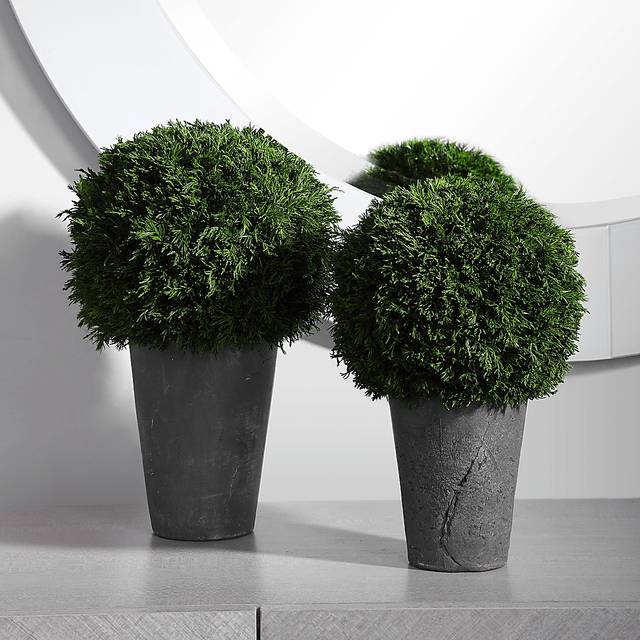 Jelinna Gray Decorative Plant, Set of 2 - Thumbnail - Image 3