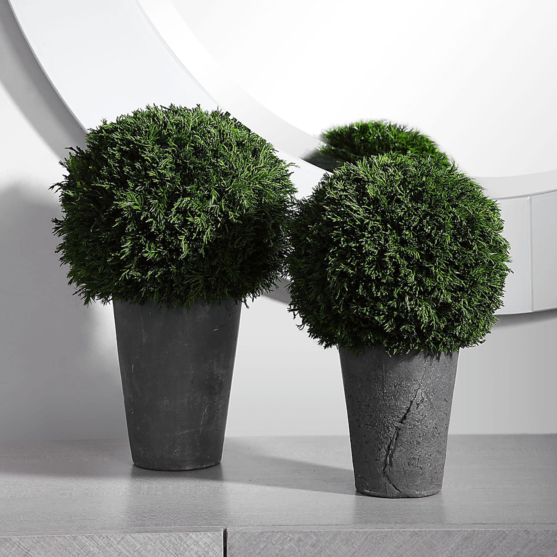 Jelinna Gray Decorative Plant, Set of 2 - Image 3