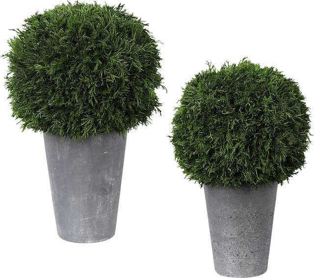 Jelinna Gray Decorative Plant, Set of 2 - Thumbnail - Image 1