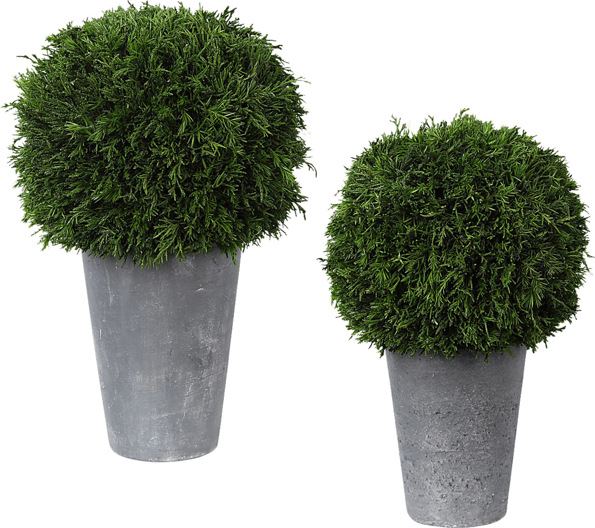 Jelinna Gray Decorative Plant, Set of 2 - Image 1