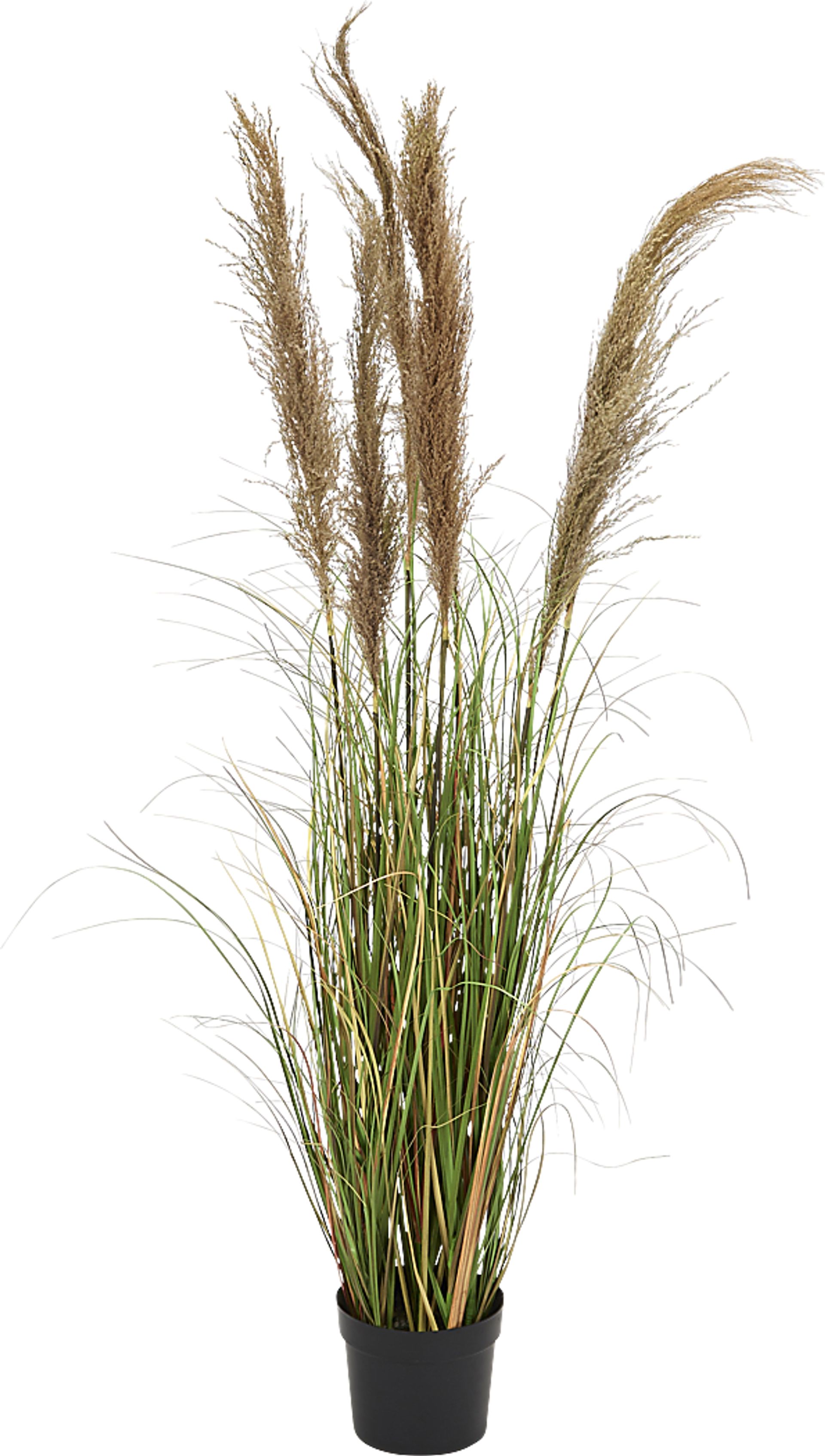 Jeniya Green Onion Grass Large Silk Plant - Image 1