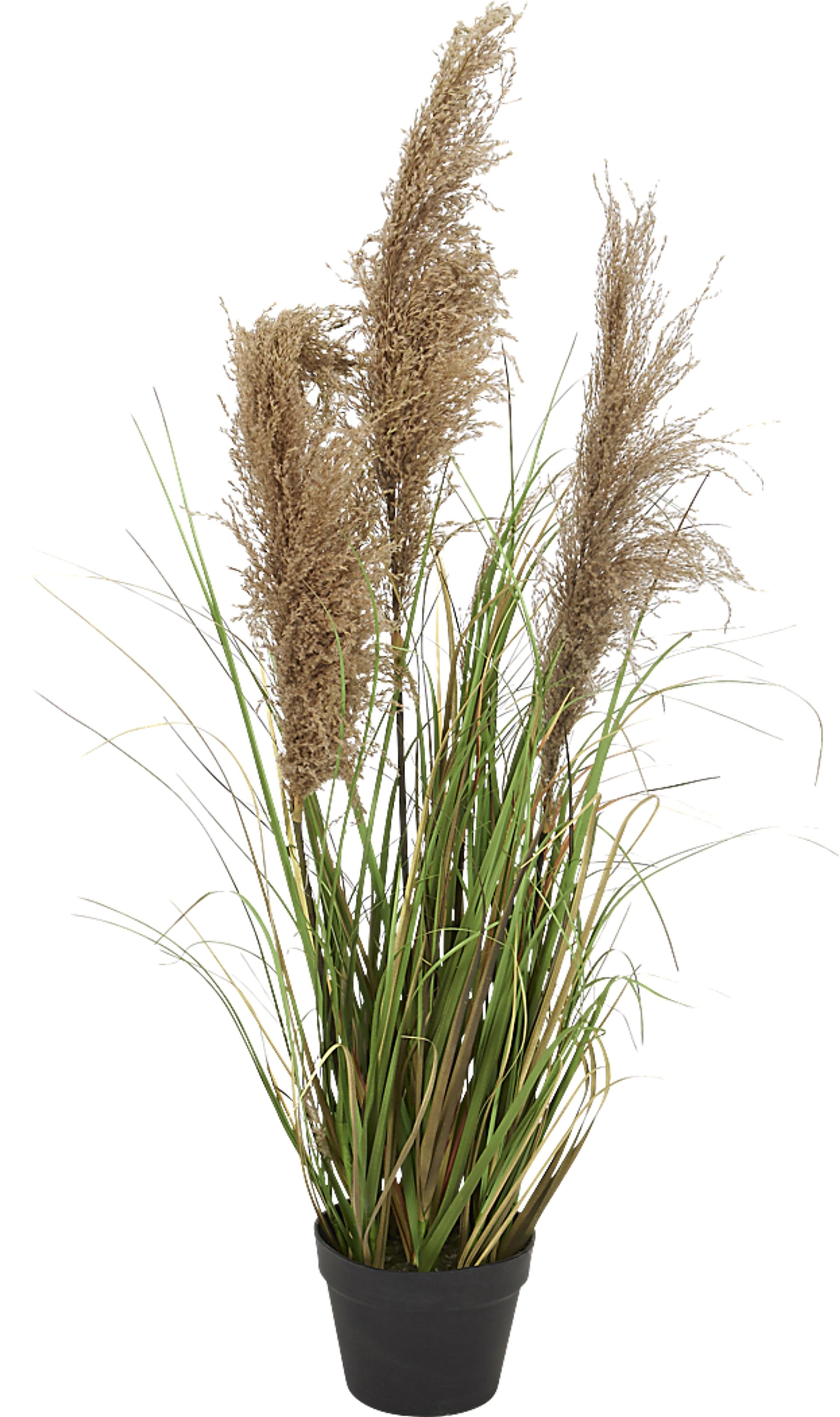 Jeniya Green Onion Grass Medium Silk Plant - Image 1