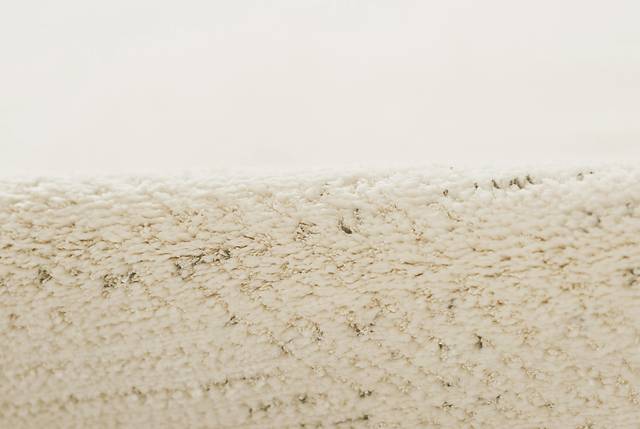 Jilleane Off-White 7'10 x 10' Rug - Thumbnail - Image 2