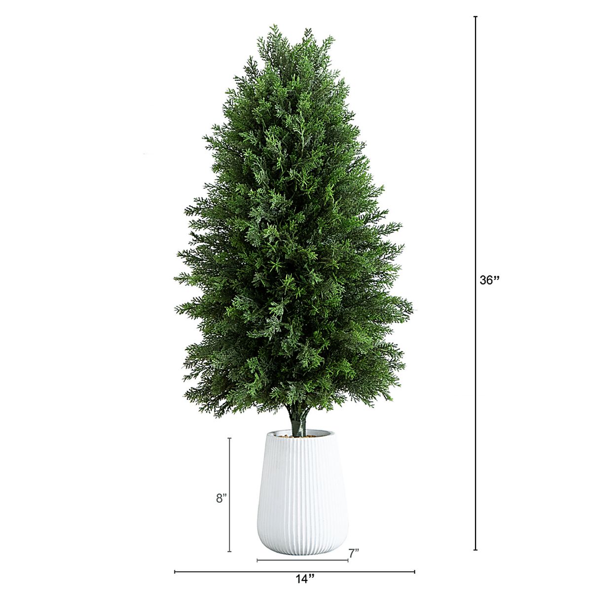 Juniata Green Silk Tree | Rooms to Go