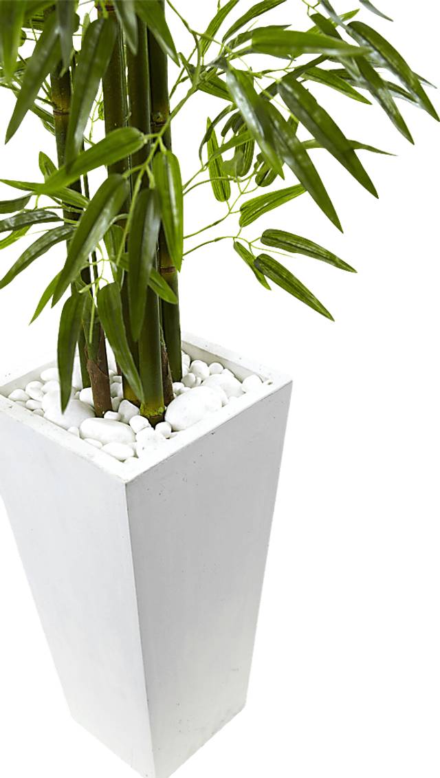 Kaio Green Bamboo Indoor/Outdoor Silk Tree - Thumbnail - Image 2