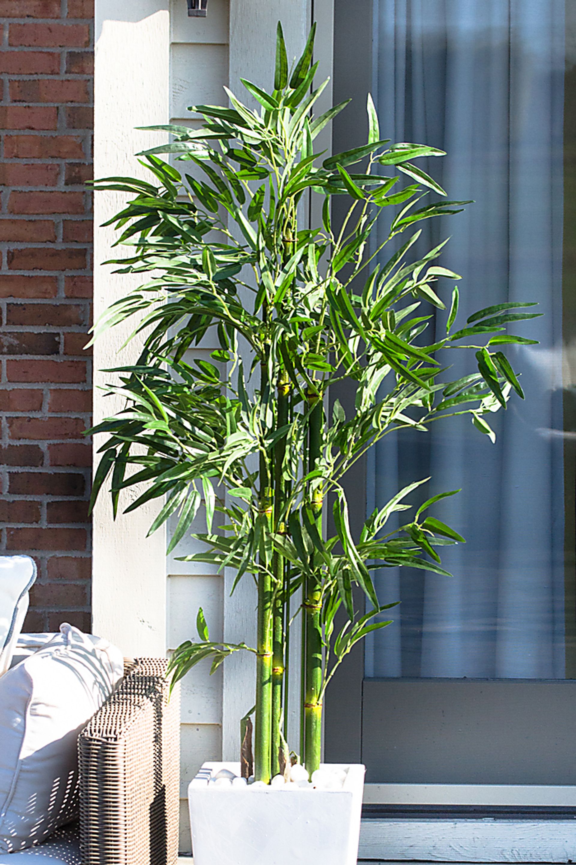 Kaio Green Bamboo Indoor/Outdoor Silk Tree - Image 4