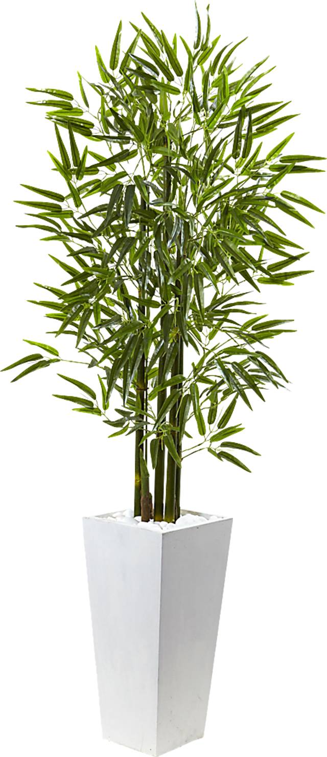Kaio Green Bamboo Indoor/Outdoor Silk Tree - Thumbnail - Image 1