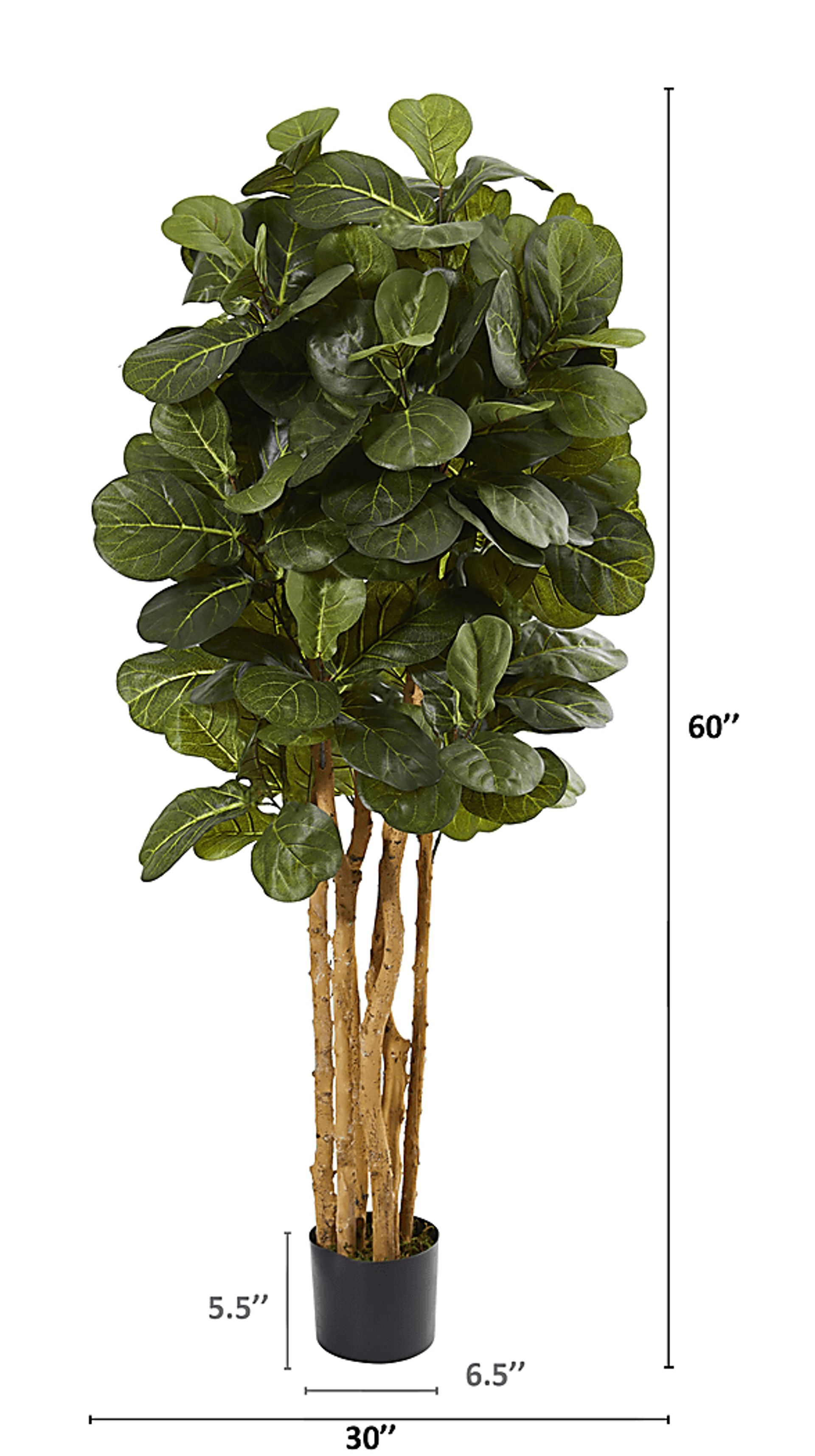 Kaiyah Green Fiddle Leaf Silk Tree - Image 4