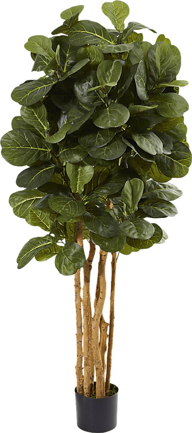 Kaiyah Green Fiddle Leaf Silk Tree - Thumbnail - Image 1