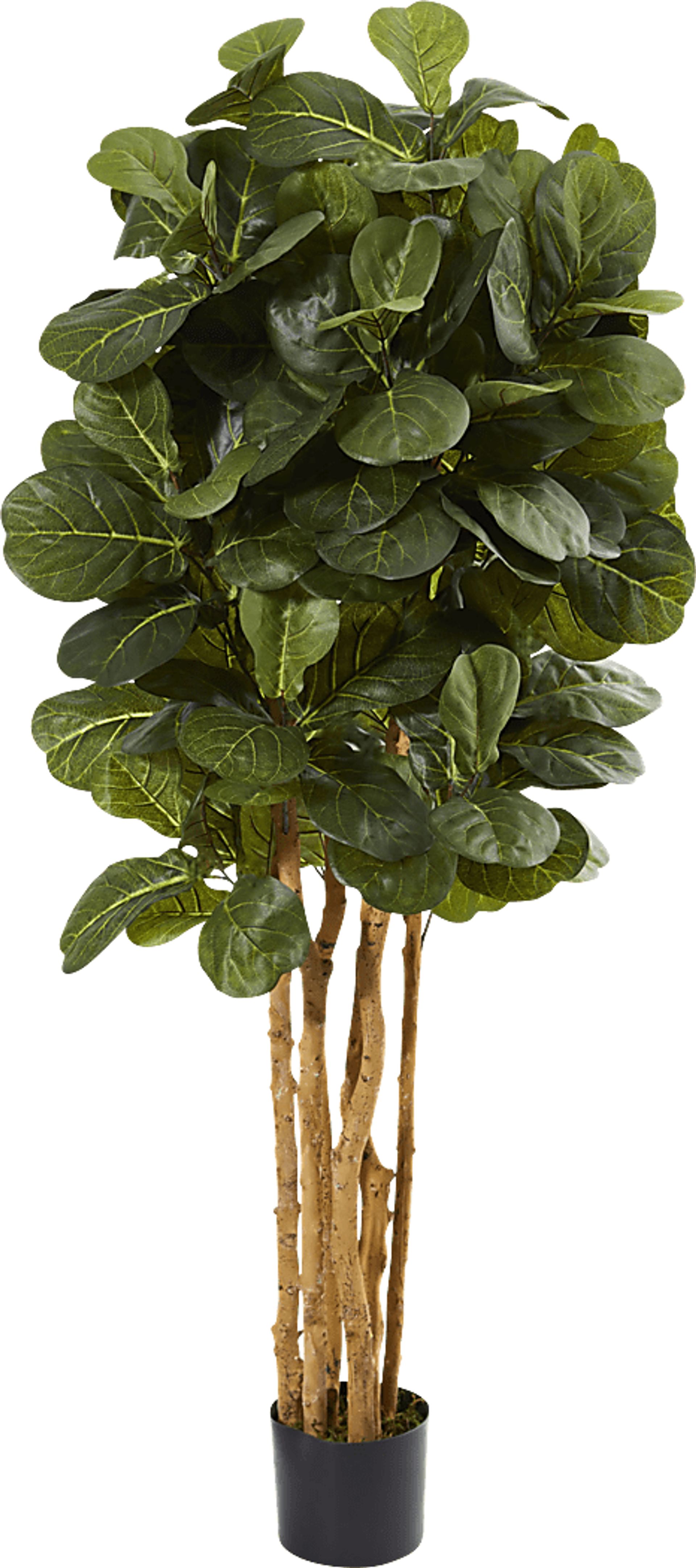 Kaiyah Green Fiddle Leaf Silk Tree - Image 1