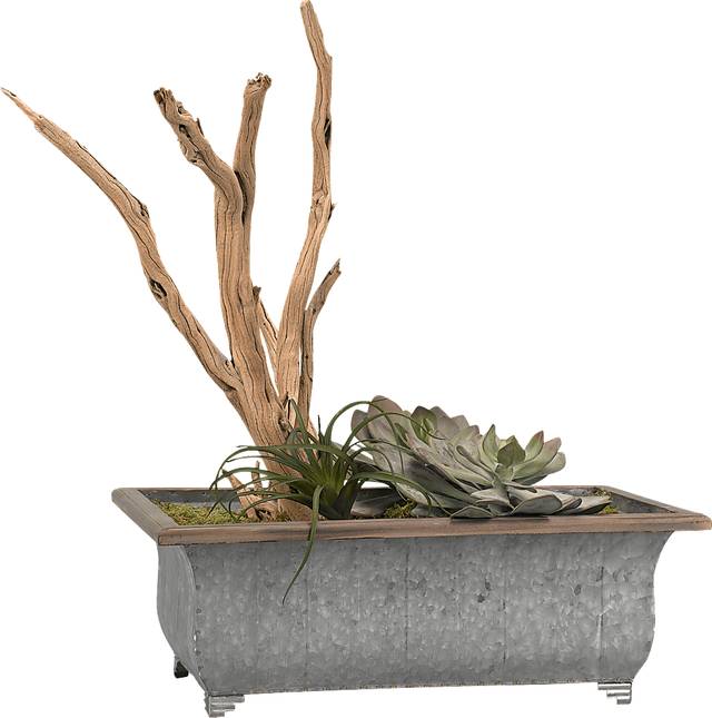 Kaiyan Green Echeveria Silk Plant - Thumbnail - Image 1