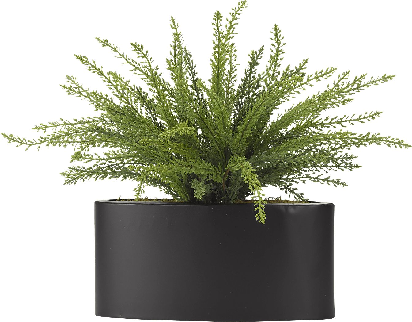 Kalise Green Fern Silk Plant