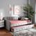 Kamrath Gray Daybed with Trundle