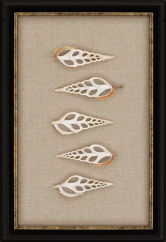 Kani Shell Beige Artwork - Thumbnail - Image 1