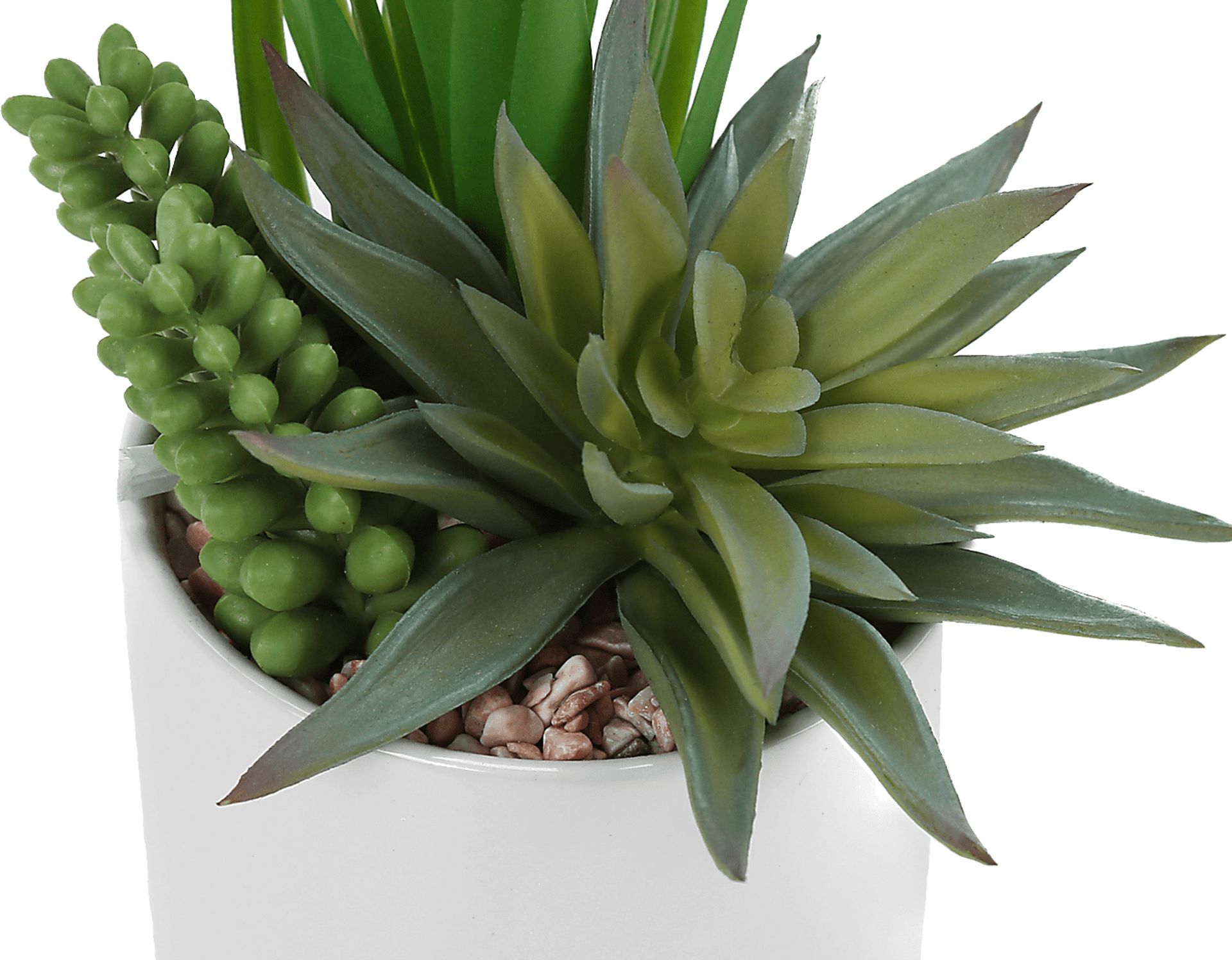 Karakara Green Artificial Succulent Plant, Set of 2 - Image 4