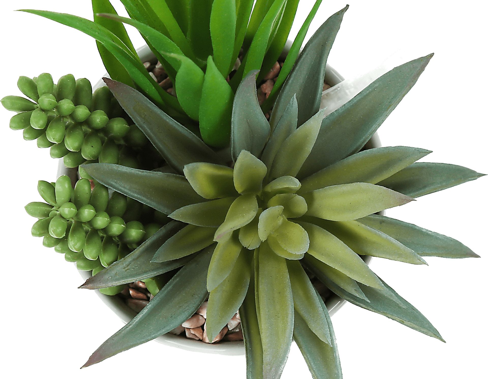Karakara Green Artificial Succulent Plant, Set of 2 - Image 5