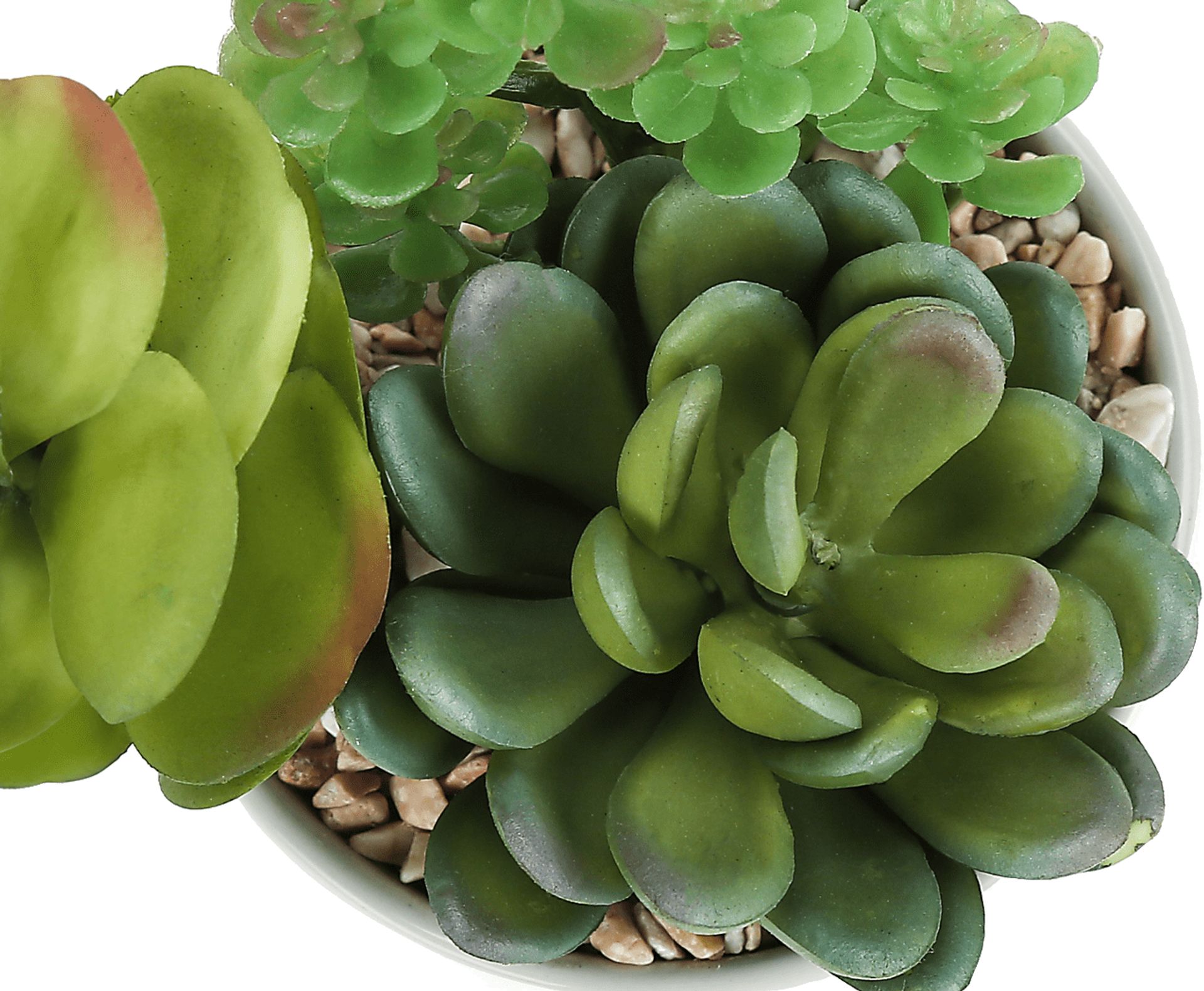 Karakara Green Artificial Succulent Plant, Set of 2 - Image 6