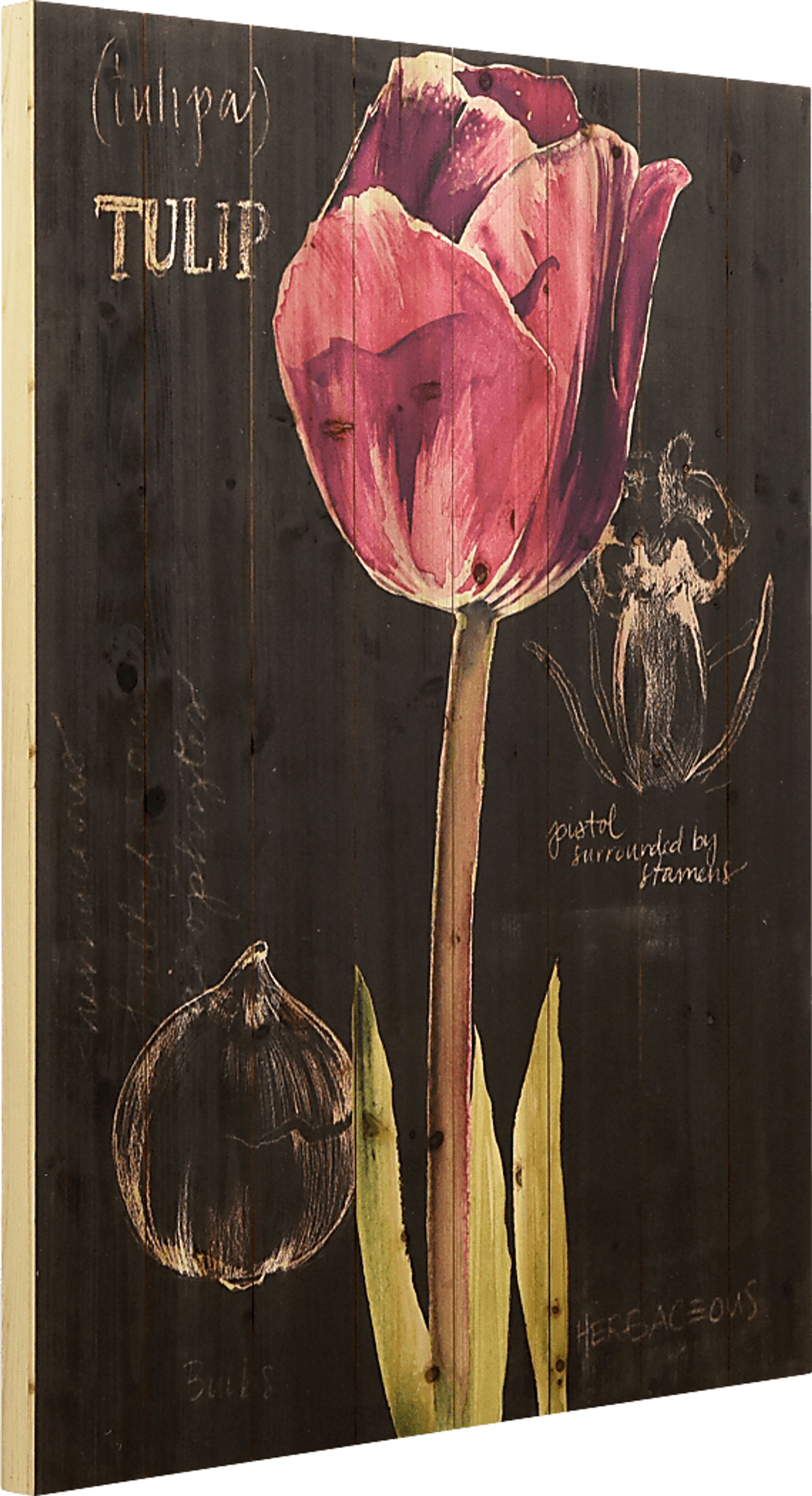 Kara's Tulips II Artwork - Image 2