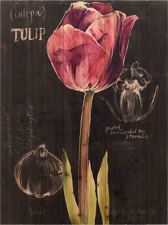 Kara's Tulips II Artwork - Thumbnail - Image 1