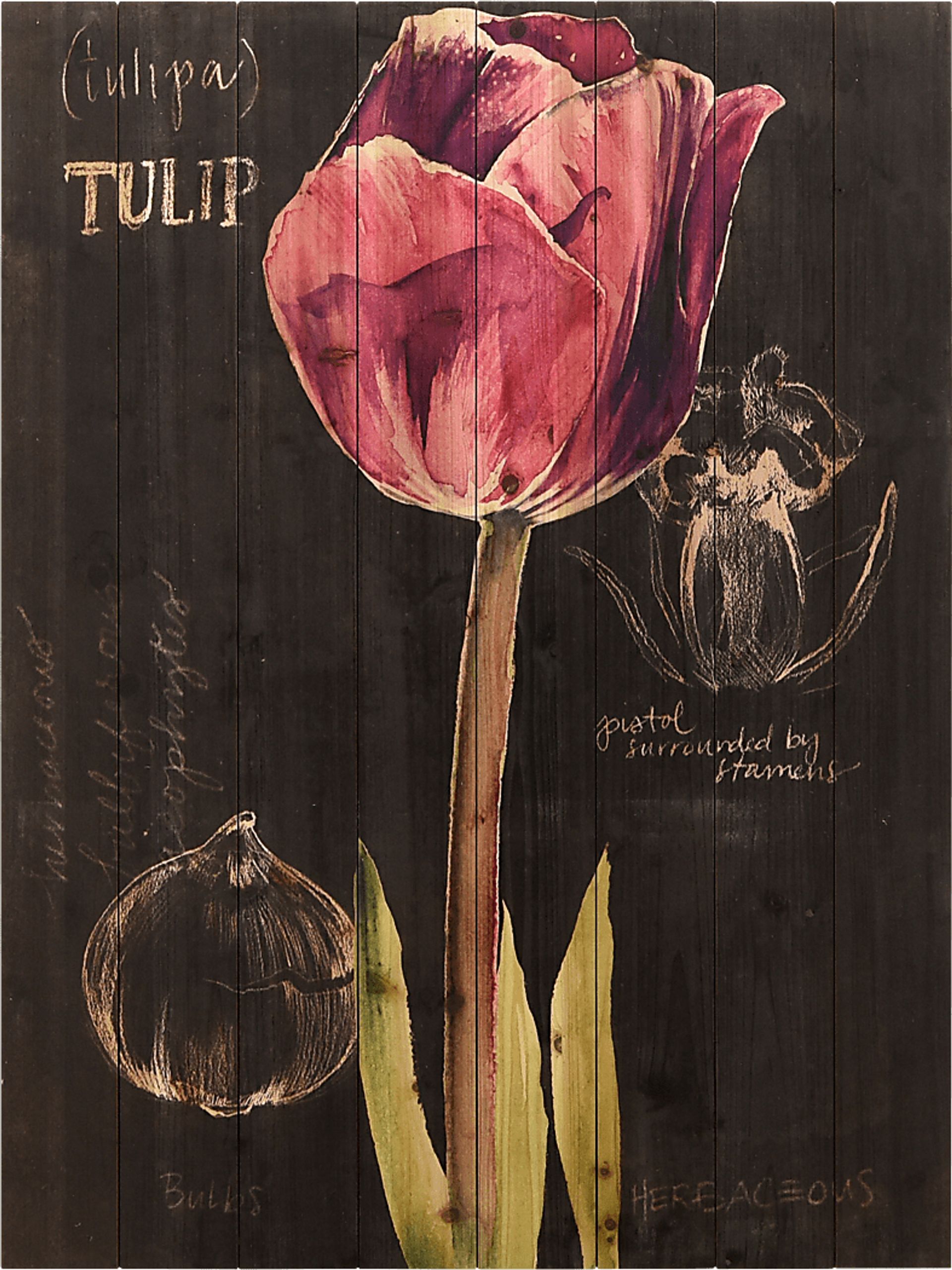 Kara's Tulips II Artwork - Image 1