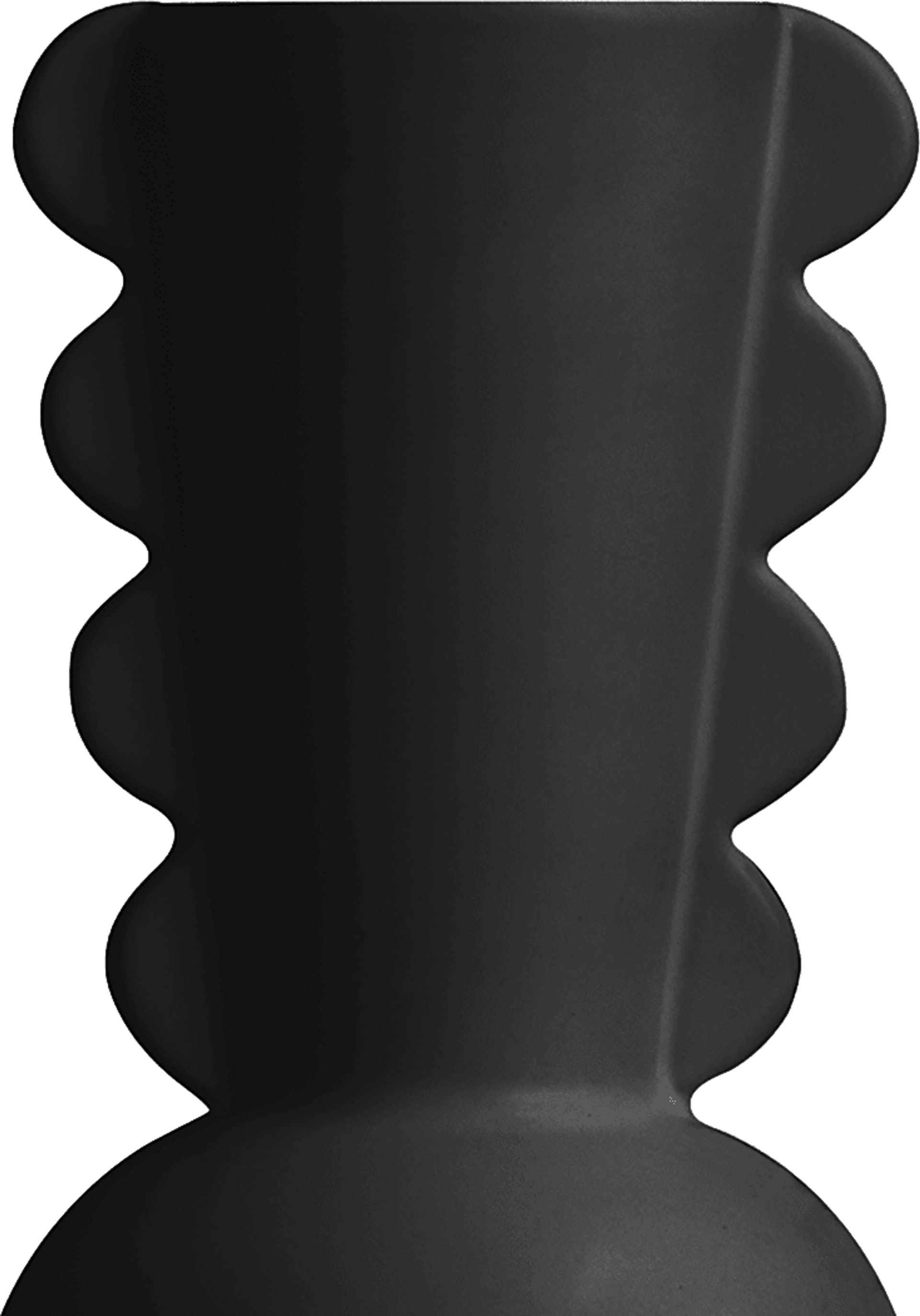 Karelitz Black Vase - Image 4