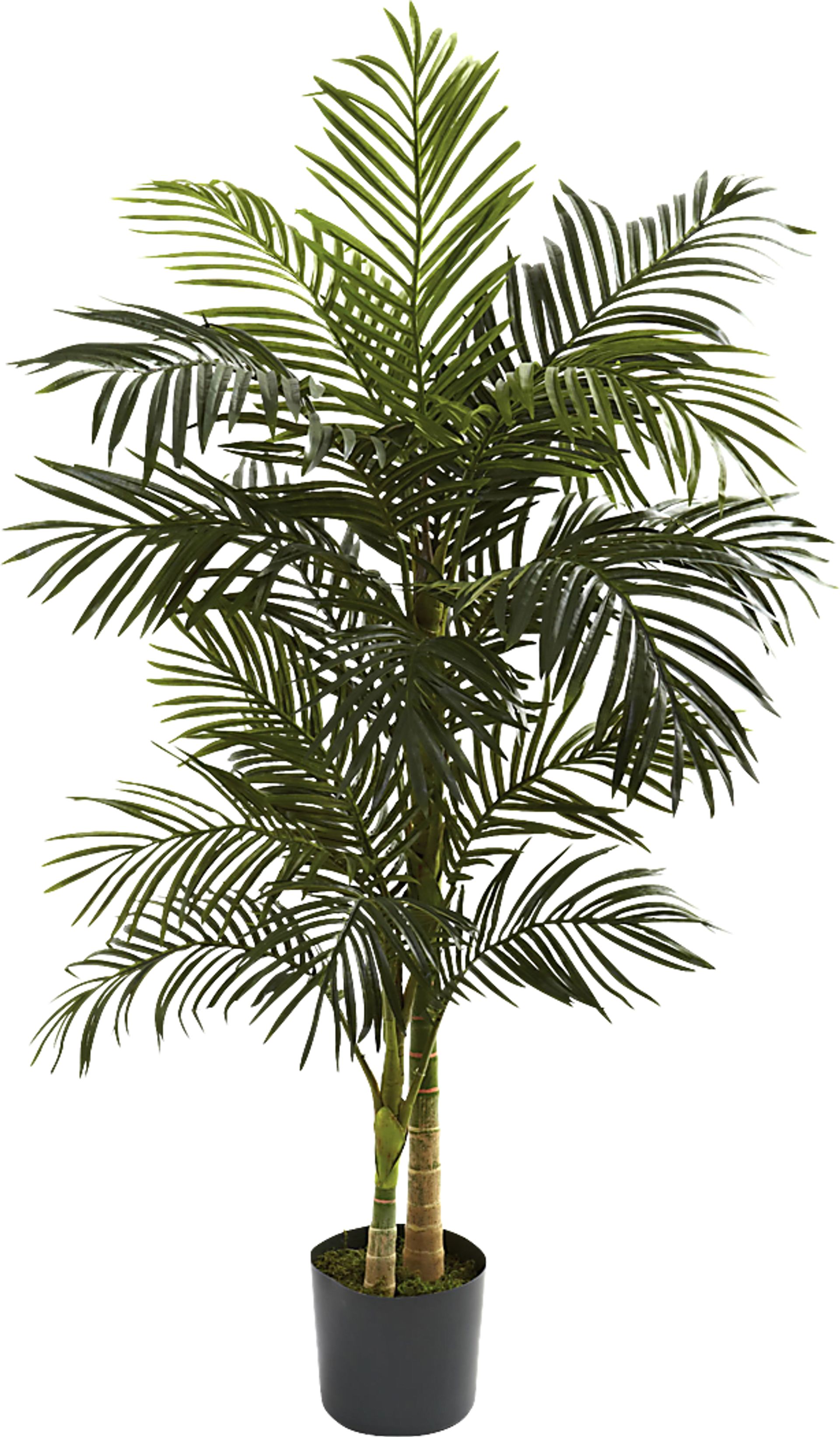 Karsyn Green Medium Palm Silk Tree - Image 1