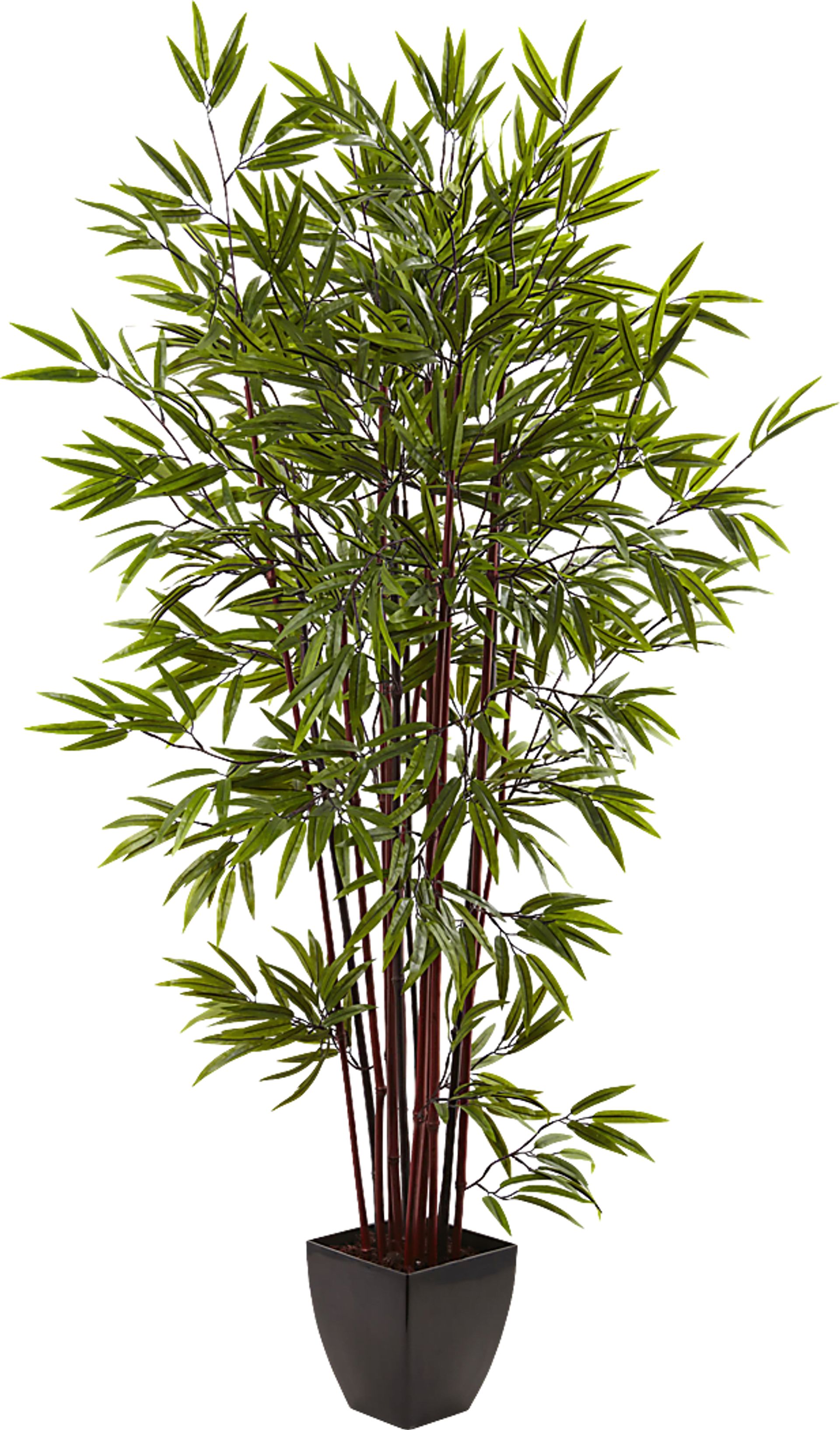 Kaysen Green Bamboo Silk Tree - Image 1