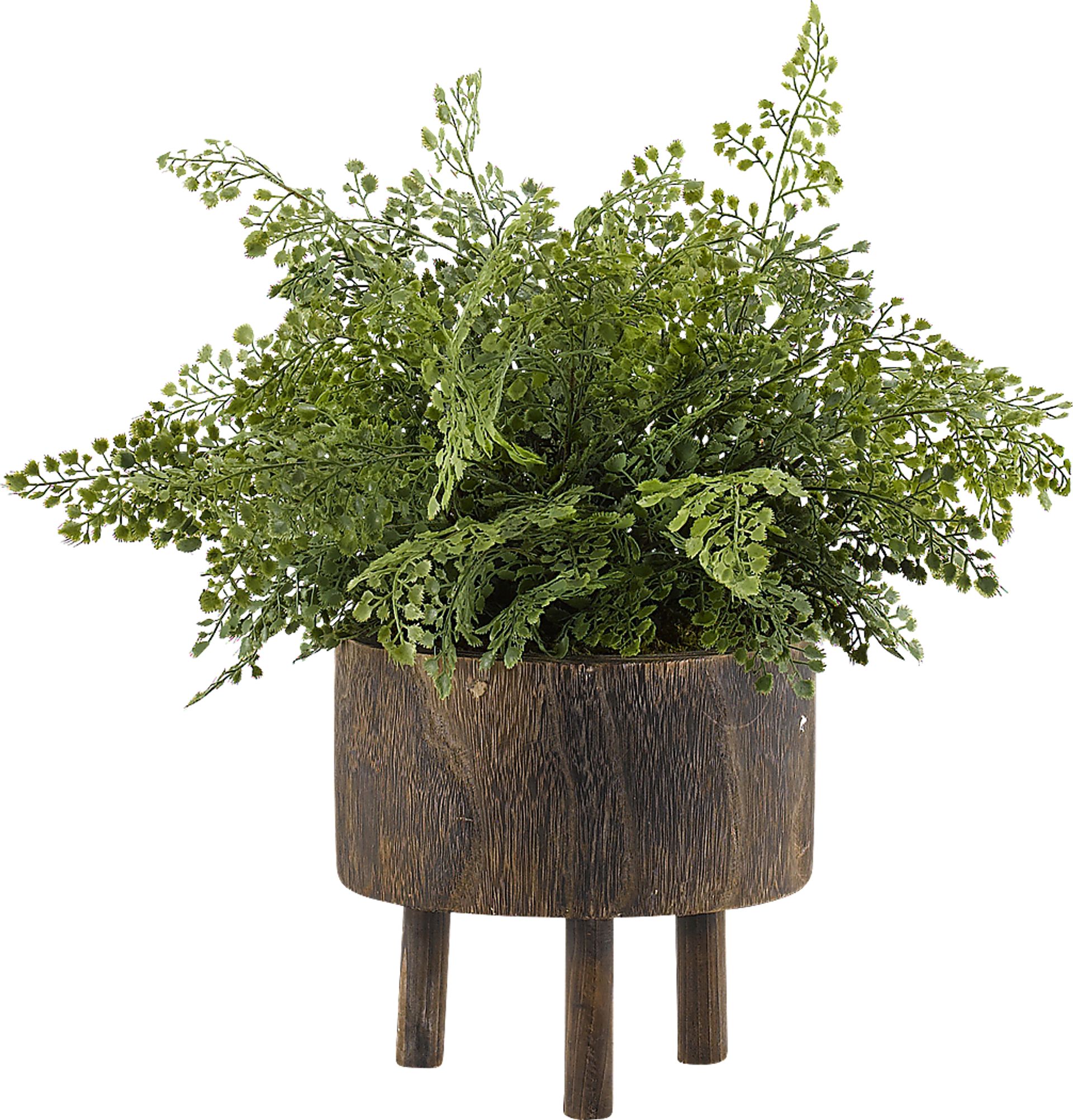 Kenzie Green Fern Silk Plant - Image 1