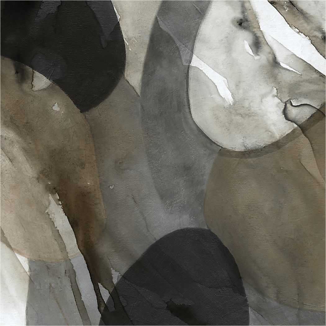 Kerudoa Gray Canvas Artwork