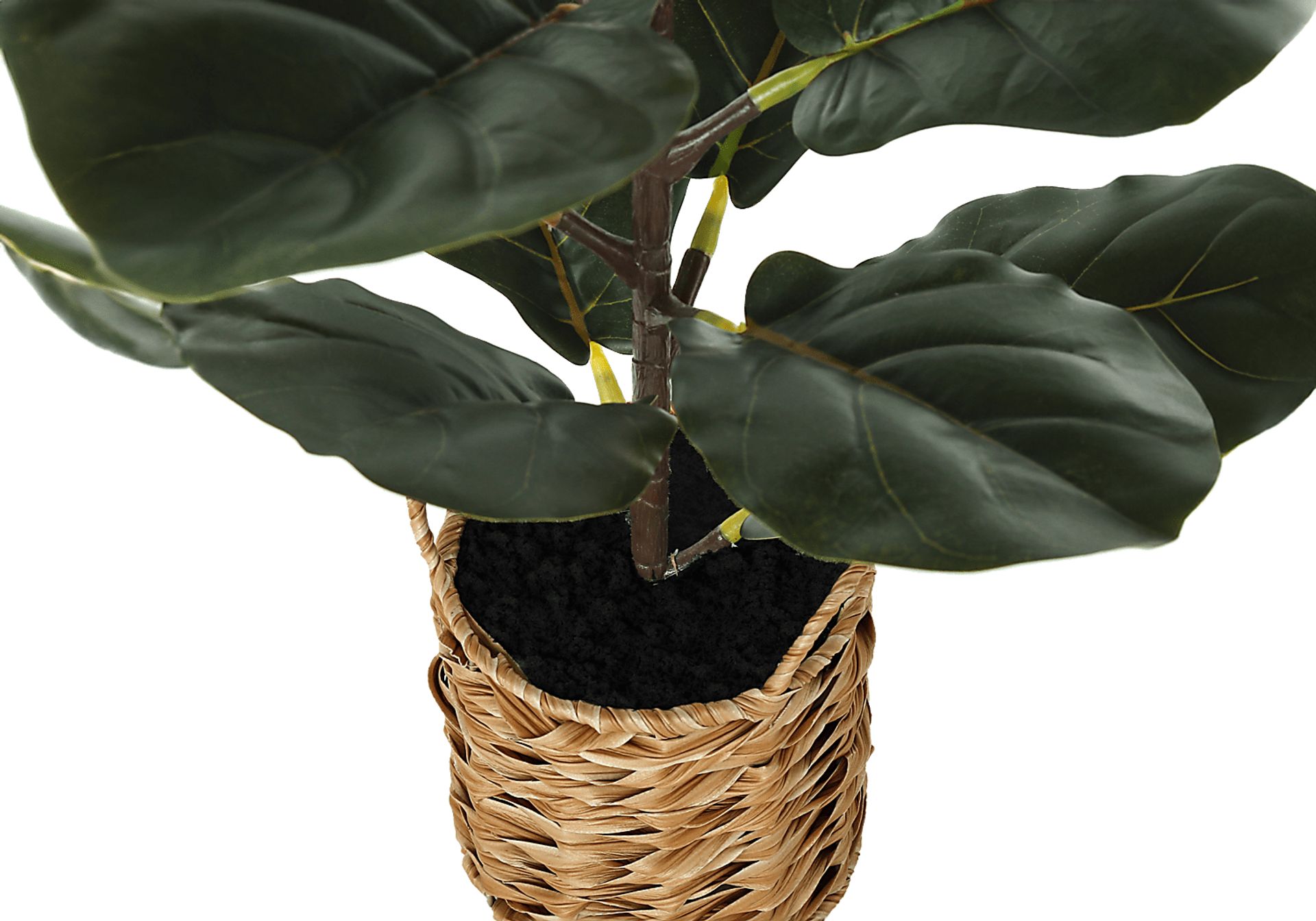 Ketembilla Green Artificial Fiddle Tree - Image 3