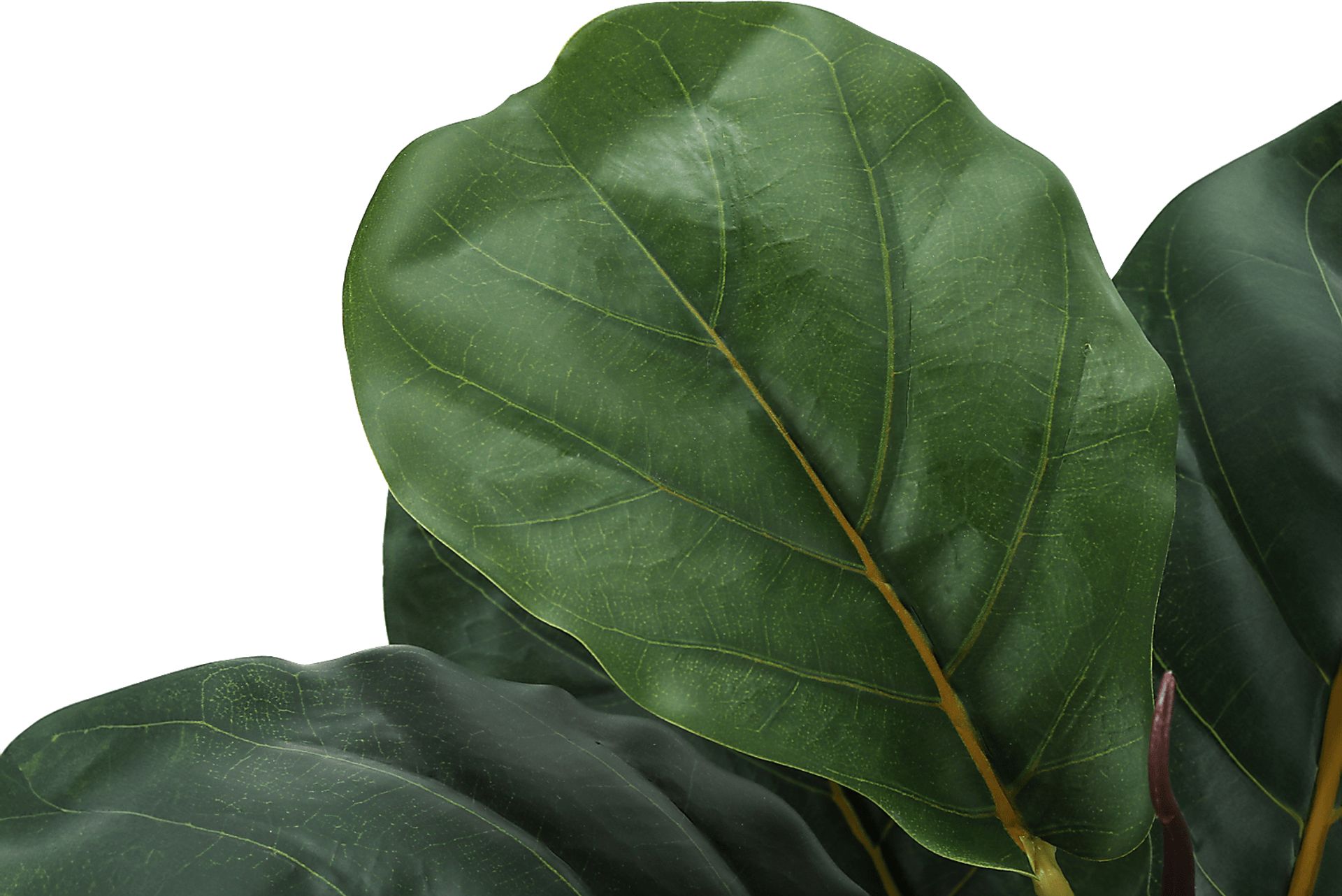 Ketembilla Green Artificial Fiddle Tree - Image 4